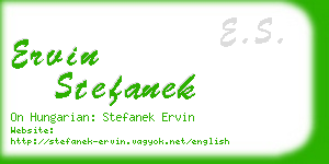 ervin stefanek business card